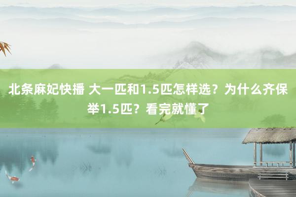 北条麻妃快播 大一匹和1.5匹怎样选？为什么齐保举1.5匹？看完就懂了