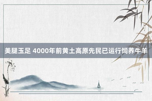 美腿玉足 4000年前黄土高原先民已运行饲养牛羊