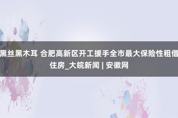 黑丝黑木耳 合肥高新区开工援手全市最大保险性租借住房_大皖新闻 | 安徽网