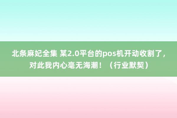 北条麻妃全集 某2.0平台的pos机开动收割了，对此我内心毫无海潮！（行业默契）