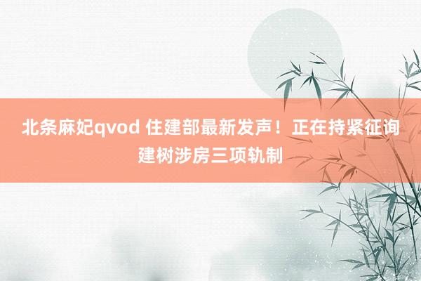 北条麻妃qvod 住建部最新发声！正在持紧征询建树涉房三项轨制