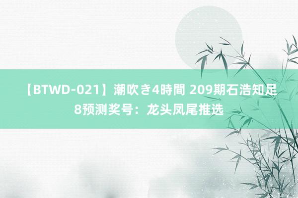 【BTWD-021】潮吹き4時間 209期石浩知足8预测奖号：龙头凤尾推选