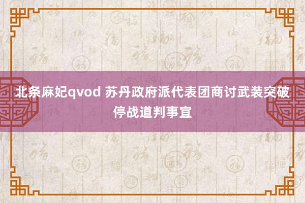 北条麻妃qvod 苏丹政府派代表团商讨武装突破停战道判事宜