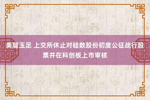 美腿玉足 上交所休止对硅数股份初度公征战行股票并在科创板上市审核