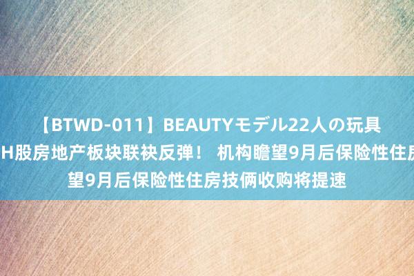 【BTWD-011】BEAUTYモデル22人の玩具責め4時間 A股、H股房地产板块联袂反弹！ 机构瞻望9月后保险性住房技俩收购将提速