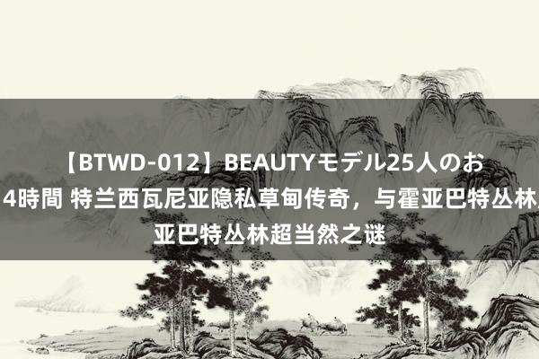 【BTWD-012】BEAUTYモデル25人のお掃除フェラ4時間 特兰西瓦尼亚隐私草甸传奇，与霍亚巴特丛林超当然之谜