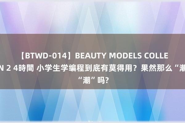 【BTWD-014】BEAUTY MODELS COLLECTION 2 4時間 小学生学编程到底有莫得用？果然那么“潮”吗?