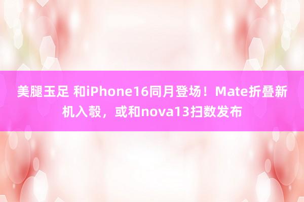 美腿玉足 和iPhone16同月登场！Mate折叠新机入彀，或和nova13扫数发布