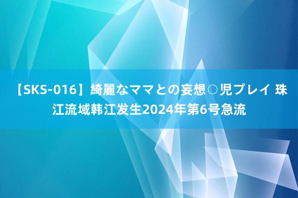 【SKS-016】綺麗なママとの妄想○児プレイ 珠江流域韩江发生2024年第6号急流