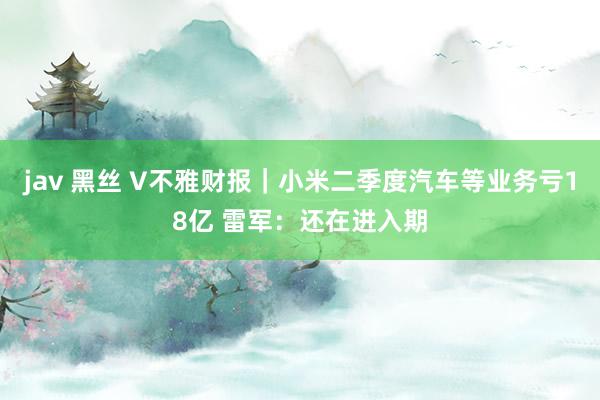 jav 黑丝 V不雅财报｜小米二季度汽车等业务亏18亿 雷军：还在进入期