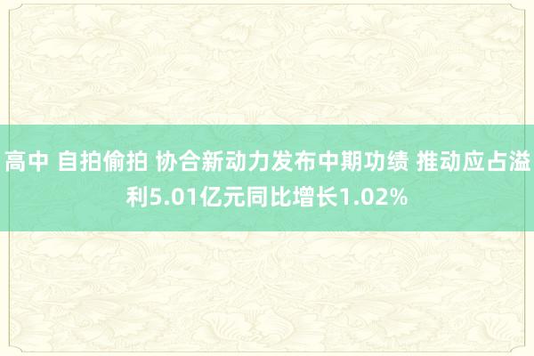 高中 自拍偷拍 协合新动力发布中期功绩 推动应占溢利5.01亿元同比增长1.02%