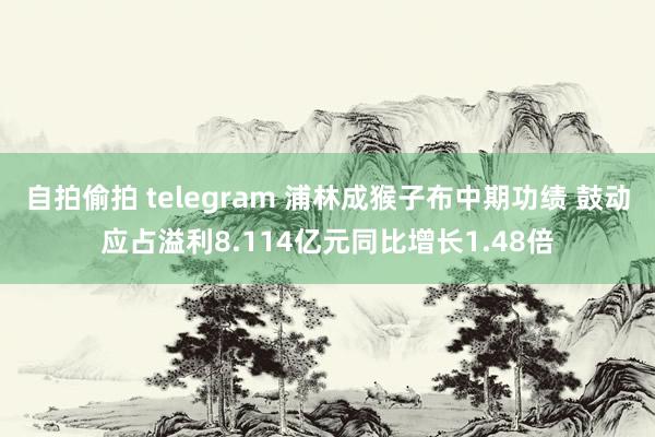 自拍偷拍 telegram 浦林成猴子布中期功绩 鼓动应占溢利8.114亿元同比增长1.48倍