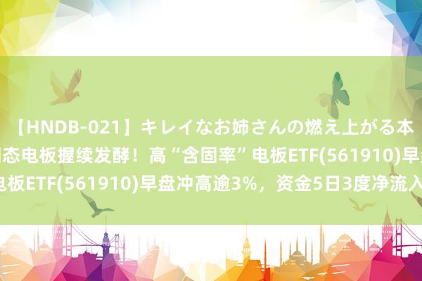 【HNDB-021】キレイなお姉さんの燃え上がる本物中出し交尾4時間 固态电板握续发酵！高“含固率”电板ETF(561910)早盘冲高逾3%，资金5日3度净流入！