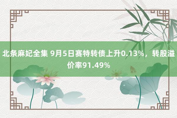 北条麻妃全集 9月5日赛特转债上升0.13%，转股溢价率91.49%