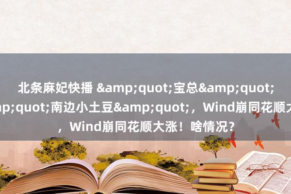 北条麻妃快播 &quot;宝总&quot;光环不敌&quot;南边小土豆&quot;，Wind崩同花顺大涨！啥情况？