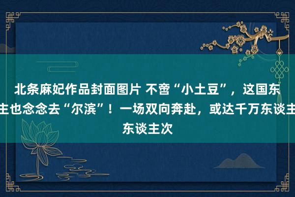 北条麻妃作品封面图片 不啻“小土豆”，这国东谈主也念念去“尔滨”！一场双向奔赴，或达千万东谈主次