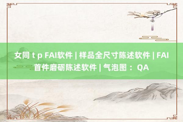 女同 t p FAI软件 | 样品全尺寸陈述软件 | FAI首件磨砺陈述软件 | 气泡图 ：QA