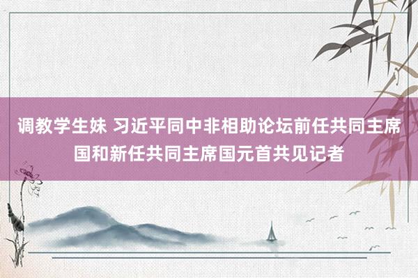 调教学生妹 习近平同中非相助论坛前任共同主席国和新任共同主席国元首共见记者