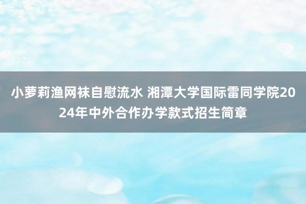 小萝莉渔网袜自慰流水 湘潭大学国际雷同学院2024年中外合作办学款式招生简章